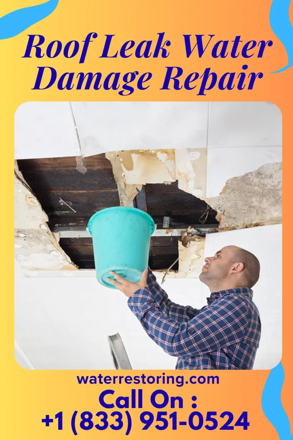 Roof Leak Water Damage Repair in Fort Scott, KS